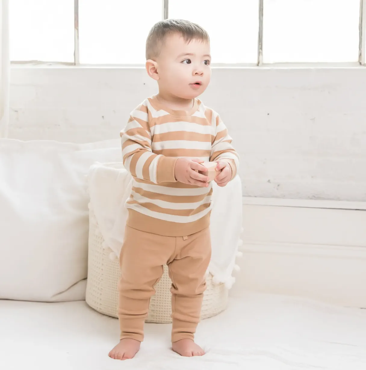 Colored Organics - Cruz Jogger in Tan