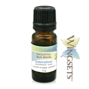 Eucalyptus Blue Mallee (Eucalyptus polybractea), organic, essential oil