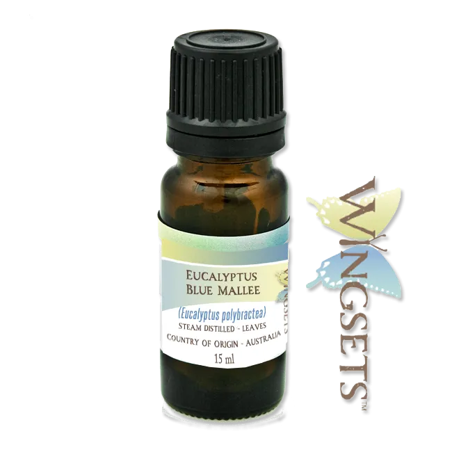 Eucalyptus Blue Mallee (Eucalyptus polybractea), organic, essential oil