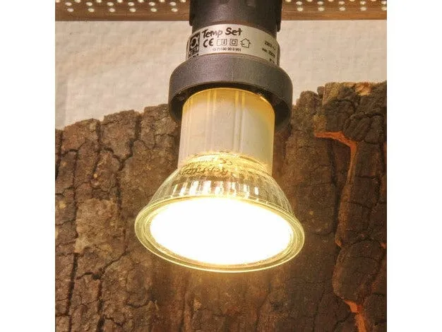 JBL ReptilDay Halogen - 75 Watt