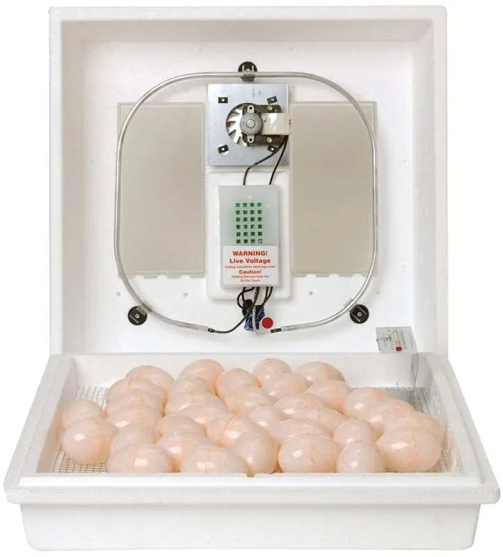 Little Giant 10300 Egg Incubator, 41 Large Chicken Eggs Egg, 99.5 deg F, Styrofoam :EA: QUANTITY: 1
