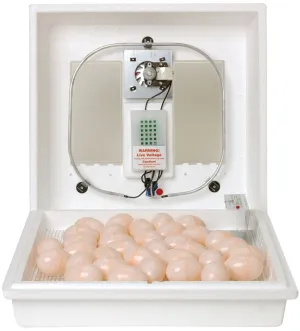 Little Giant 10300 Egg Incubator, 41 Large Chicken Eggs Egg, 99.5 deg F, Styrofoam :EA: QUANTITY: 1