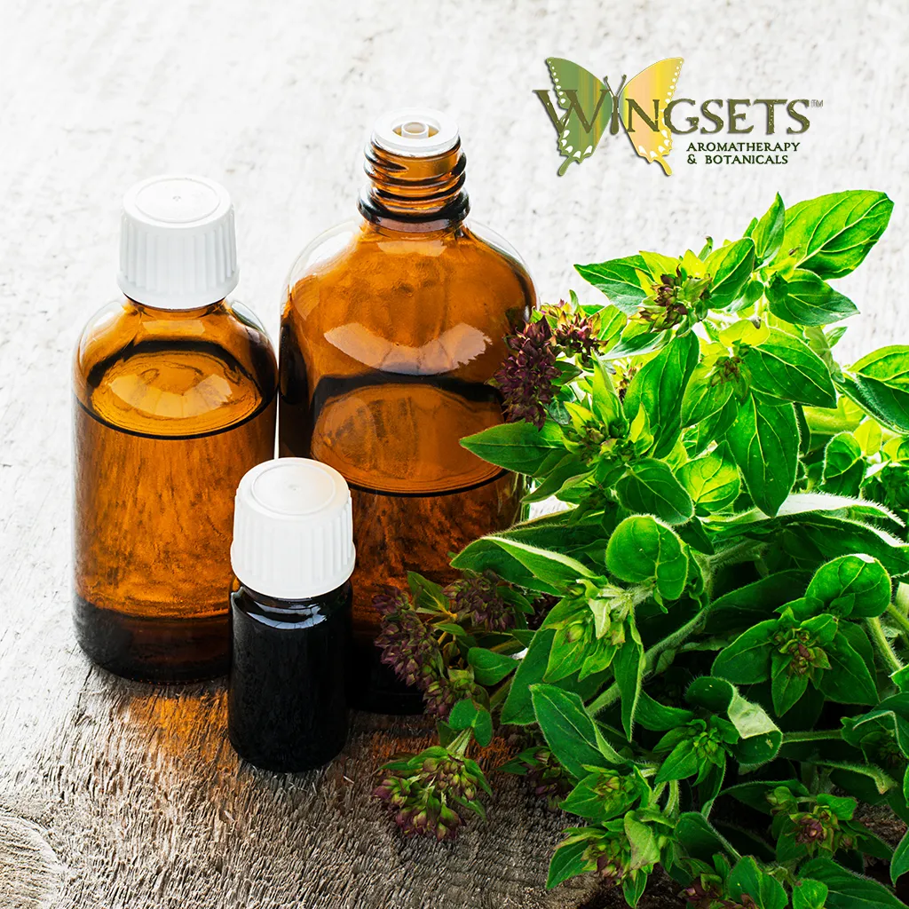Oregano essential oil (Origanum vulgare) Essential Oil