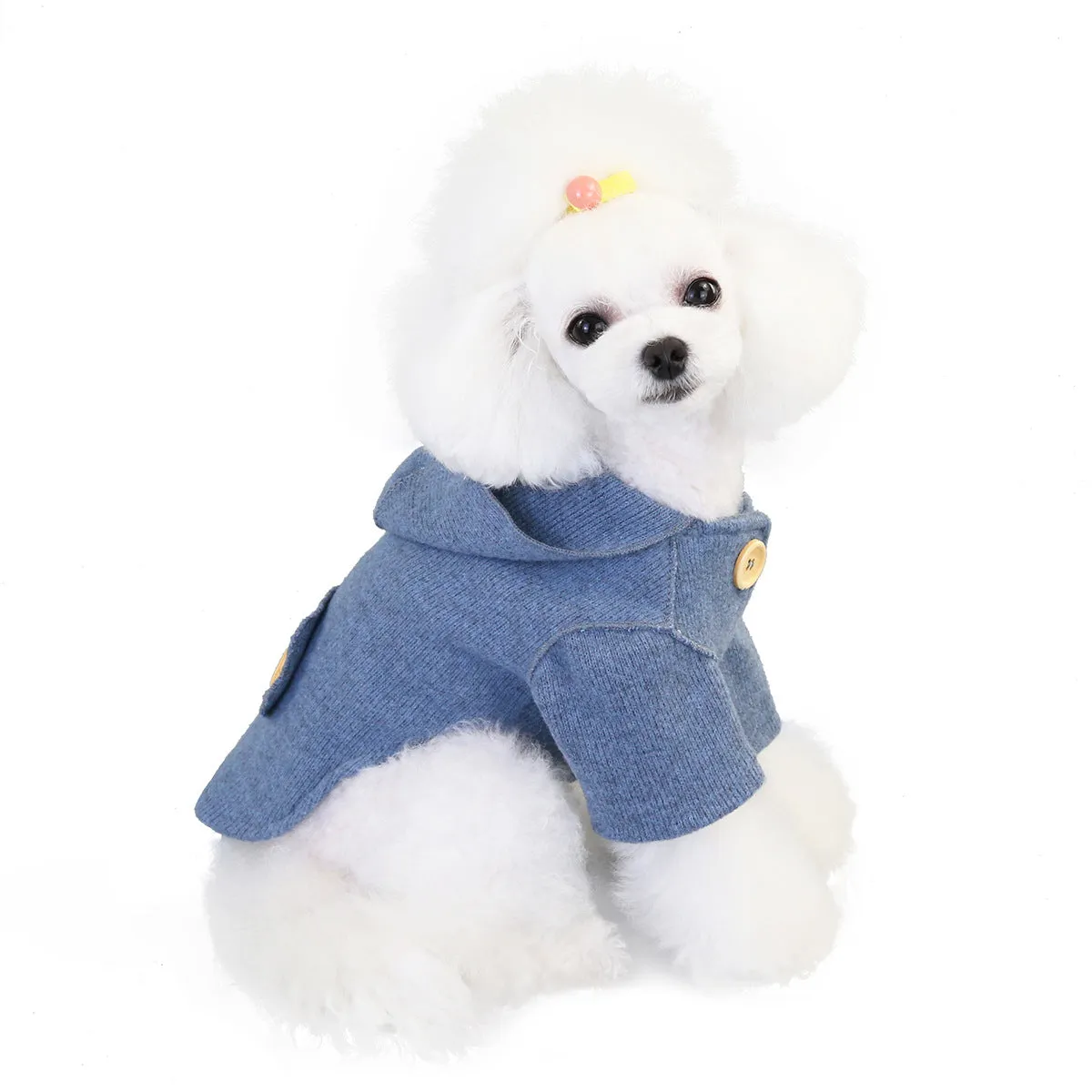 Small dog winter woolen coat fashionable pet clothing