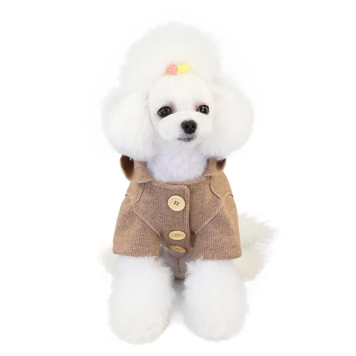 Small dog winter woolen coat fashionable pet clothing