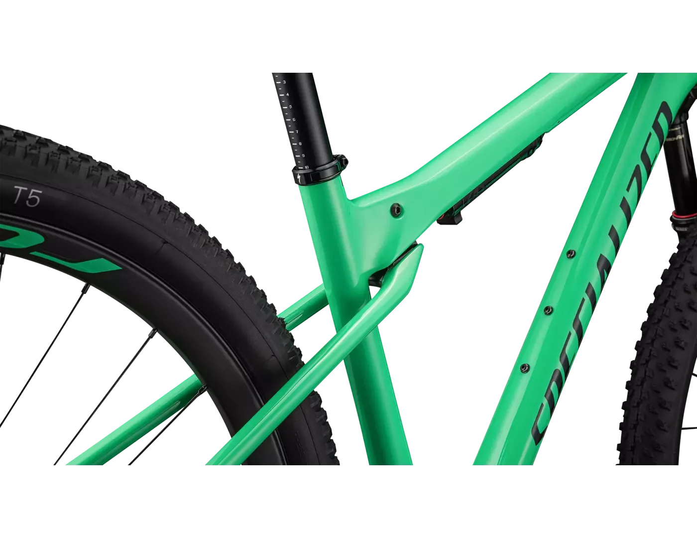SPECIALIZED Epic WC Expert SRAM GX AXS  Mountain Bike - Gloss Electric Green / Forest Green Pearl